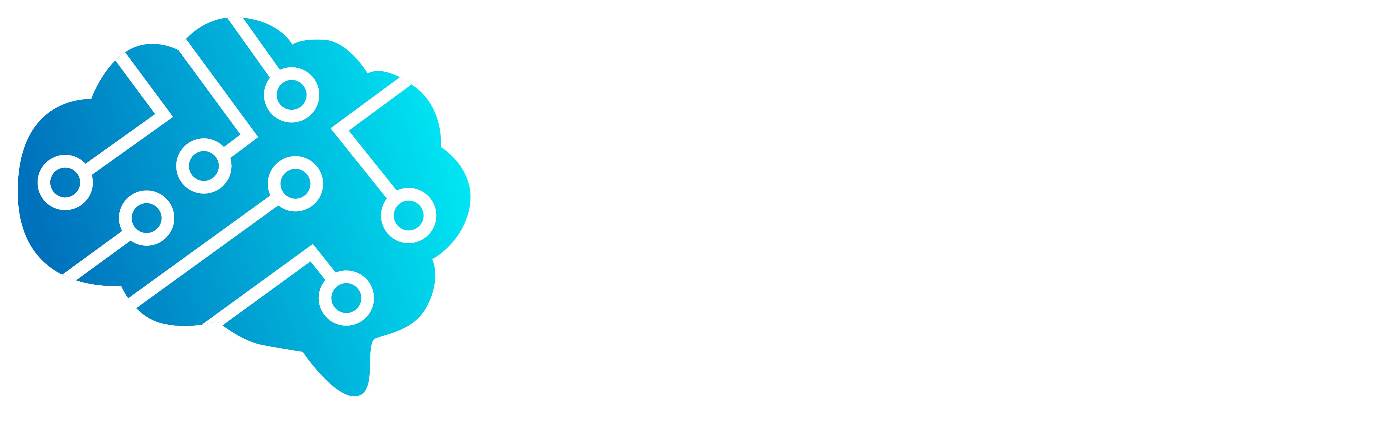 Digital Technologies Institute